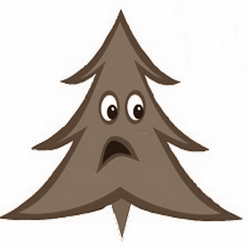 Pickup Tree after Christmas